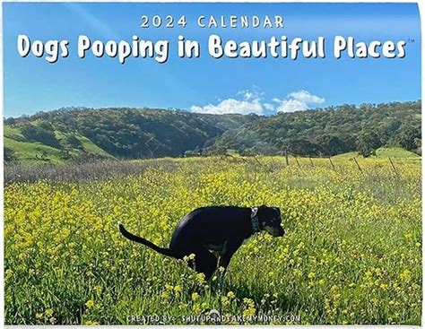 calendar of dogs pooping|Dogs Pooping In Beautiful Places 2024 Calendar.